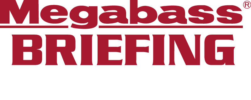 BRIEFING × MEGABASS