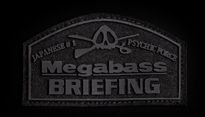 MEGABASS BRIEFING