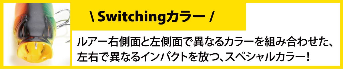 Switchingカラー