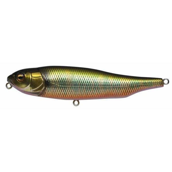 GIANT DOG-X NC ハス | Megabass - メガバス オンラインショップ