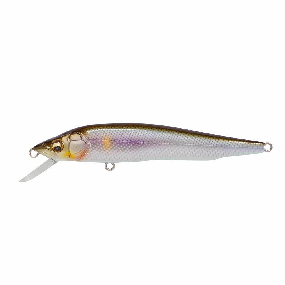 予約：5月末～6月末発送】VISION Q-GO PM セツキアユ | Megabass