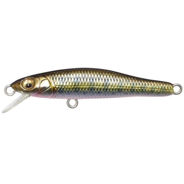 グレートハンティング55ヘビーデューティー (F) タクミサケ稚魚