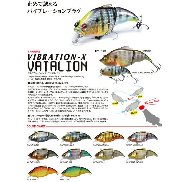 予約：9月末～10月末発送】VIBRATION-X VATALION(SF) GG メガキンギル