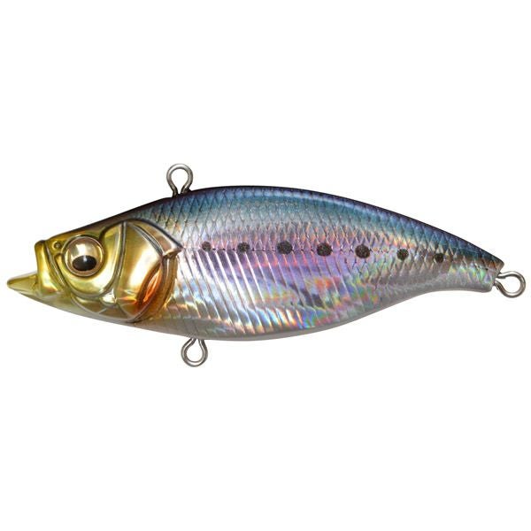 初心者ルアーフィッシングセット 海釣りシーバス用 | Megabass