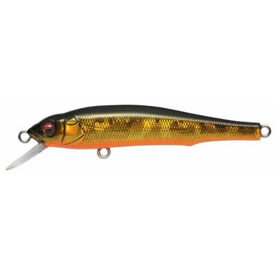 予約：8月末～9月末発送】X-70 (SP) GP ワカサギ | Megabass 