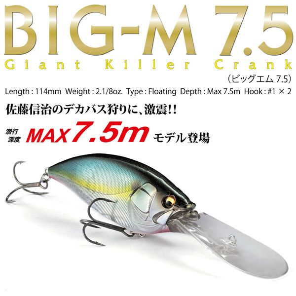 予約：8月末～9月末発送】BIG-M7.5 PM ストライクチャート | Megabass