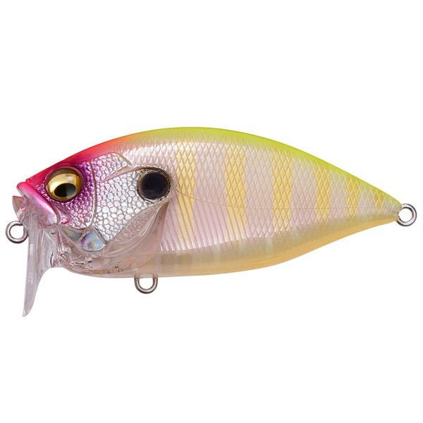 【予約:5月末~6月末発送】O.R.C PM エイトリアクション