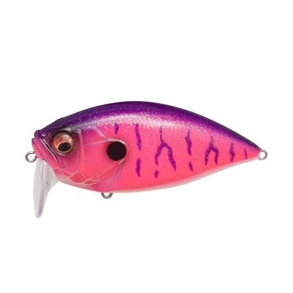メガバス 限定　ムラサキダルマ Megabass - メガバス - Megabass - メガバス added a new photo.