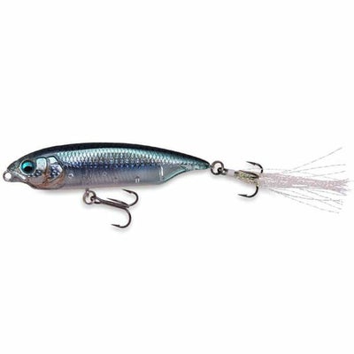 【予約:3月末~4月末発送】【オンライン限定】KARASHI サバの極み