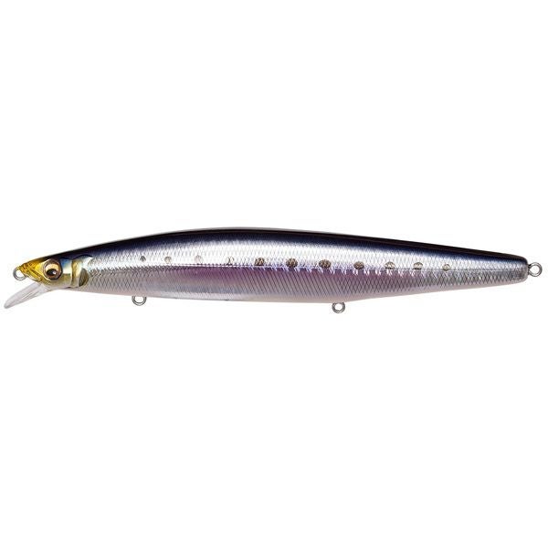 MARINE GANG Cookai140F M カタクチRB | Megabass - メガバス