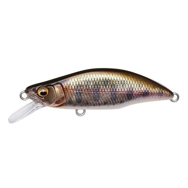 GH46 HUMPBACK(FS) M キンオレ | Megabass - メガバス オンラインショップ