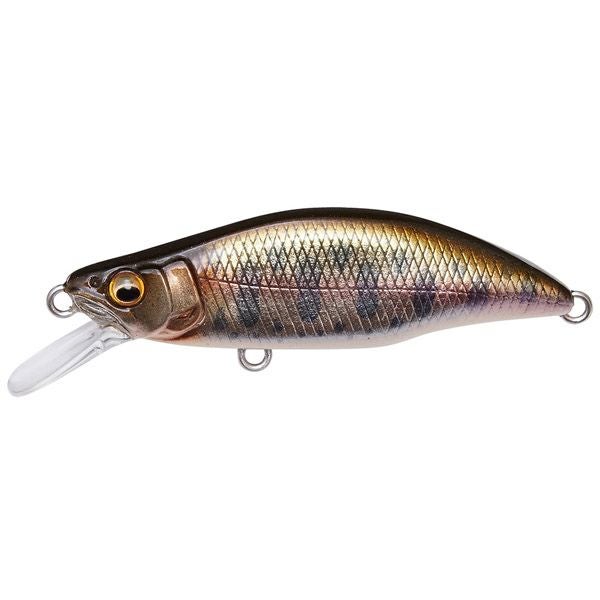 GH64 HUMPBACK(FS) AL サビヤマメ | Megabass - メガバス オンライン