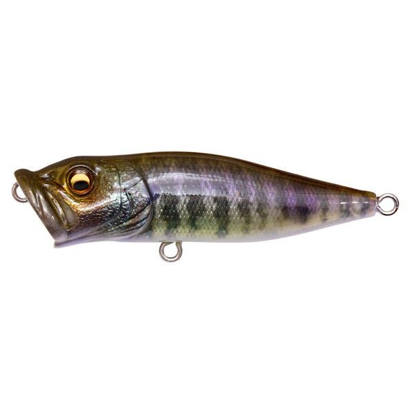 予約：5月末～6月末発送】POPMAX FA ギル | Megabass - メガバス