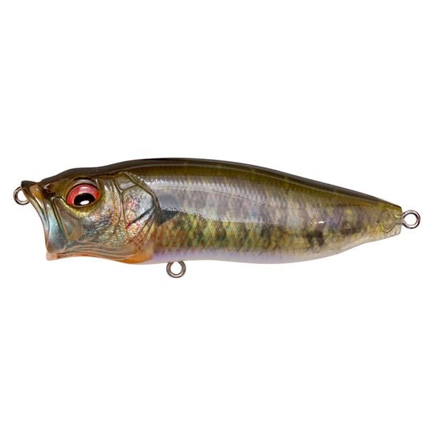 Megabass メガバス POP-MAX 2014 午 ダービー メガバス(MEGABASS) POPMAX(特注カラー) FF ダービー 2K14 ○完売しま