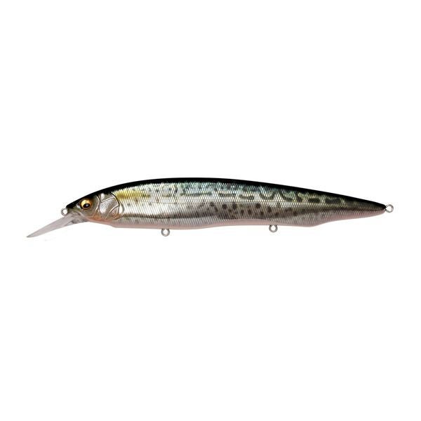 DOG-X Jr.SW ブラックボーン | Megabass - メガバス オンラインショップ