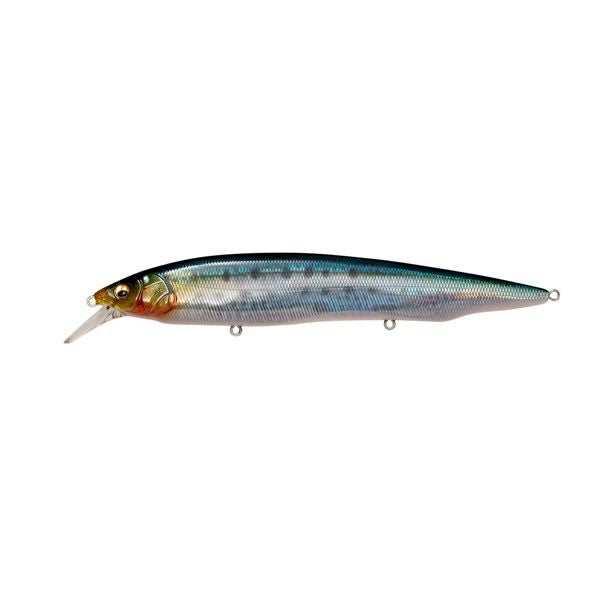 KANATA SW FA サバ | Megabass - メガバス オンラインショップ