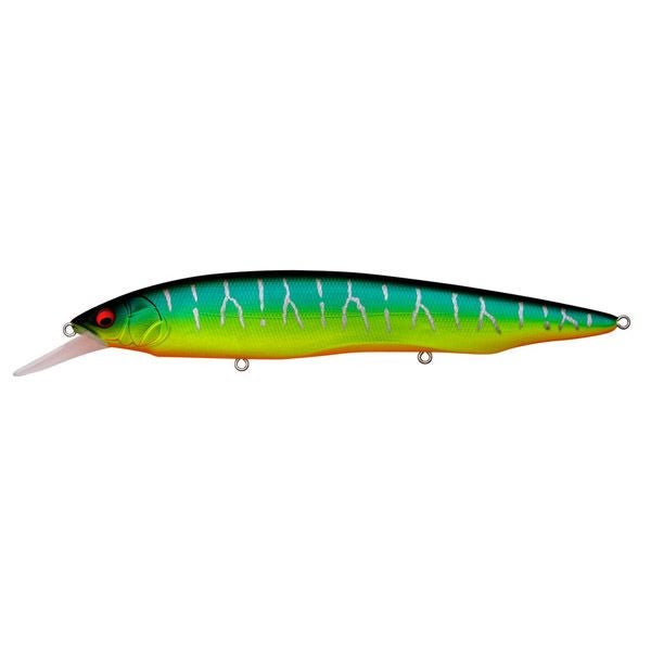 ITO SHINER マットタイガー | Megabass - メガバス オンラインショップ