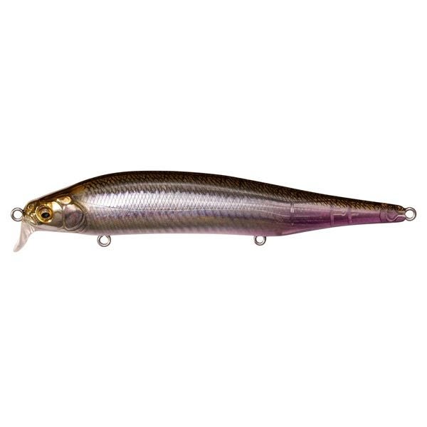 ITO SHINER SSR | Megabass - メガバス オンラインショップ