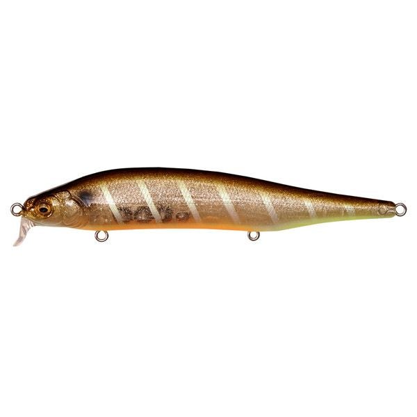 予約：7月末～8月末発送】ITO SHINER SSR マットタイガー | Megabass
