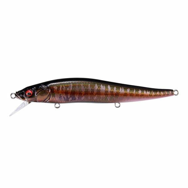 初心者ルアーフィッシングセット 海釣りシーバス用 | Megabass