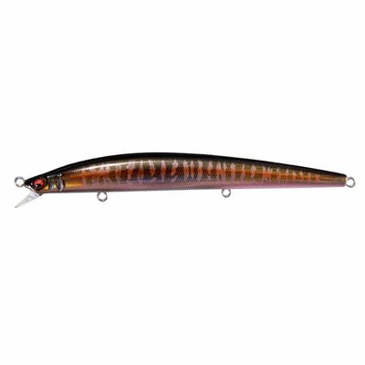 初心者ルアーフィッシングセット バス釣り用(秋) | Megabass 