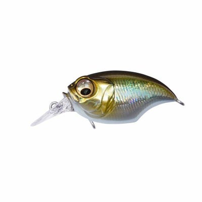 予約：11月末～12月末発送】SR-X GRIFFON SG スケルトンアユ 