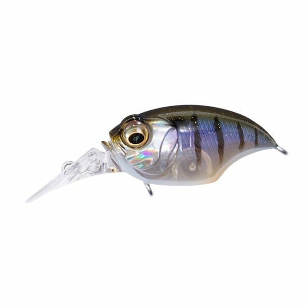 ス*ソ様 メガバス　SR-X GRIFFON リスペクトカラー6点　オンライン限 SR-X GRIFFON | Megabass-メガバス