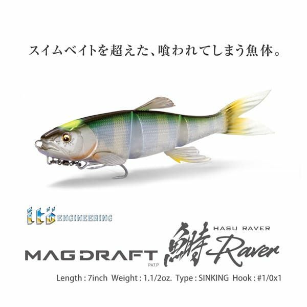 MAGDRAFT HASU RAVER (SINKING) オイカワ | Megabass - メガバス