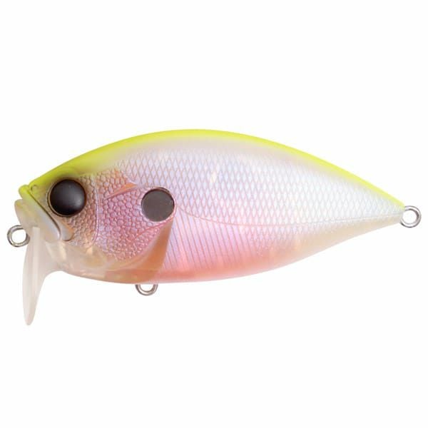 Megabass Type-X トノサマフロッグ & MFBカラー ルアーセット Megabass - Megabass-メガバス 2点セット TYPE-X タイプエックスの通販