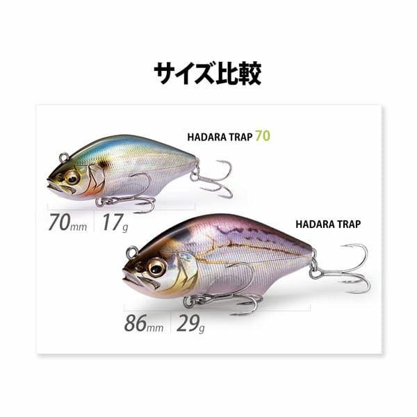 ヘッドスパ エックスティーエス（XTS）（メンズ）バスパン メンズ
