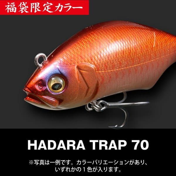 リストック】2026福袋 SALT SET | Megabass - メガバス オンラインショップ