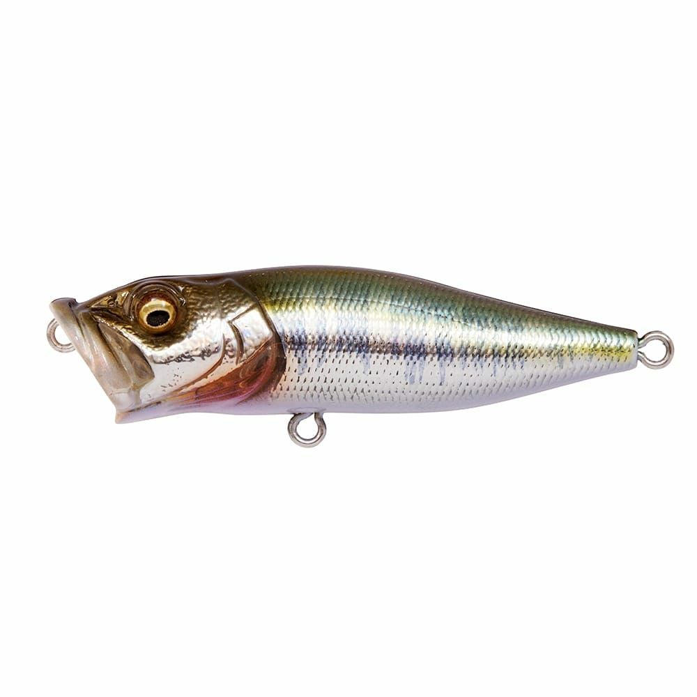 POPX | Megabass - メガバス オンラインショップ POPX | Megabass - メガバス オンラインショップ