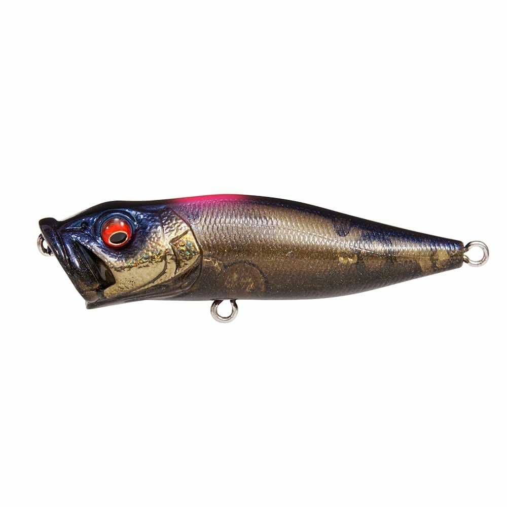 柴*郎様 Megabass POPX エキシビジョン 2026 限定 メガバス 【公式通販】