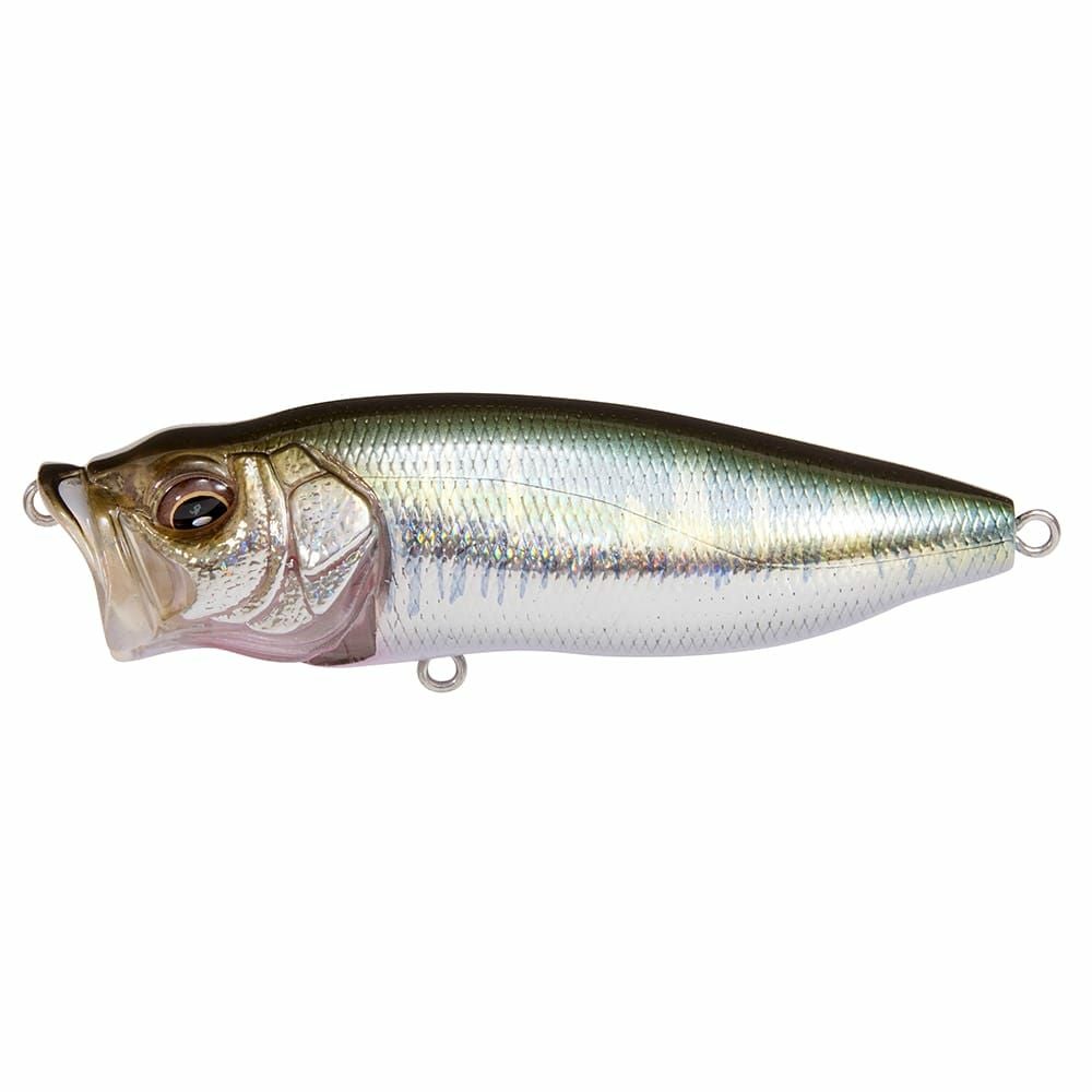 Megabass POP MAX 限定カラー　メガバス　ポップマックス POPMAX | Megabass-メガバス