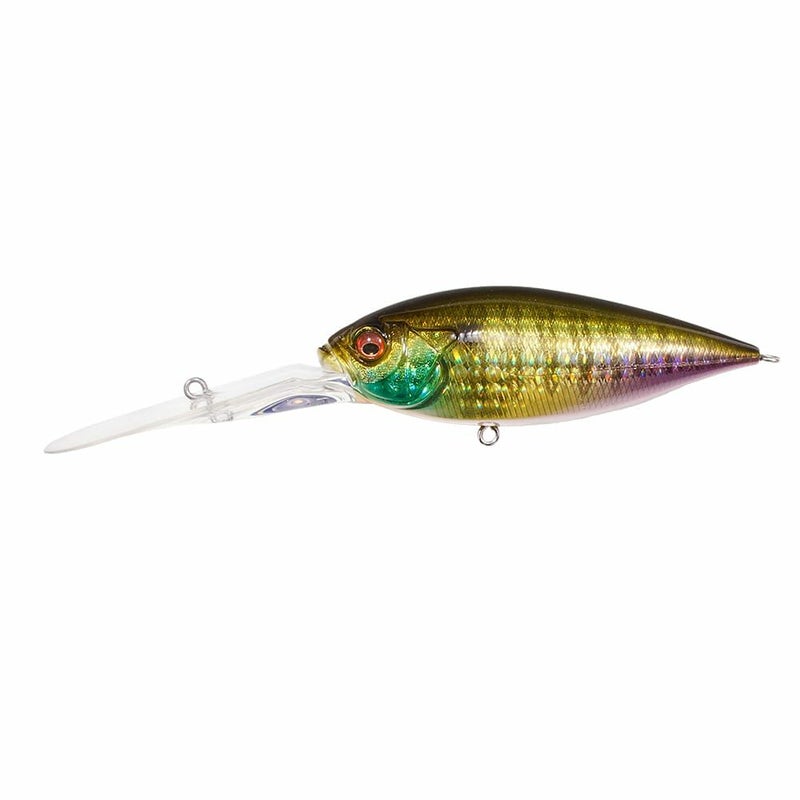 【予約:8月末~9月末発送】DEEP-SIX GG タンニンギルⅡ