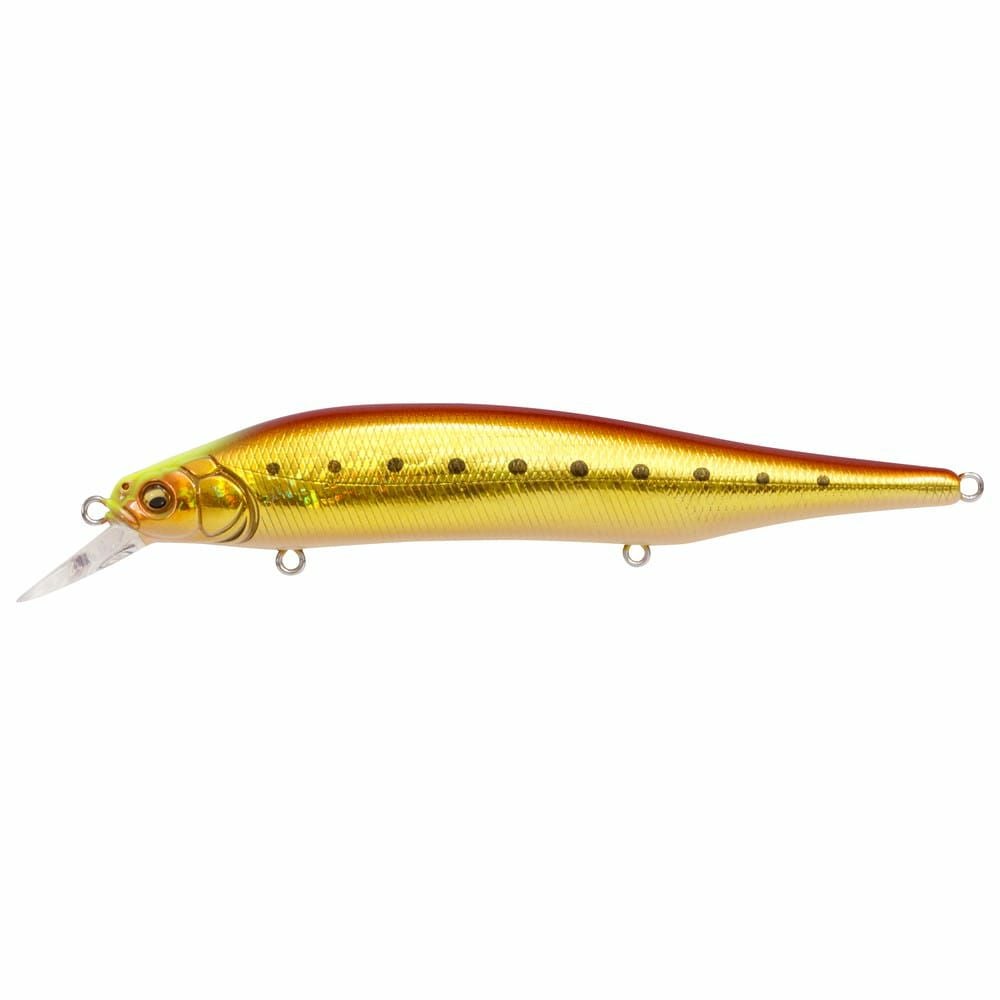 予約：7月末～8月末発送】X-80 MAGNUM GG アカキンイワシCH | Megabass