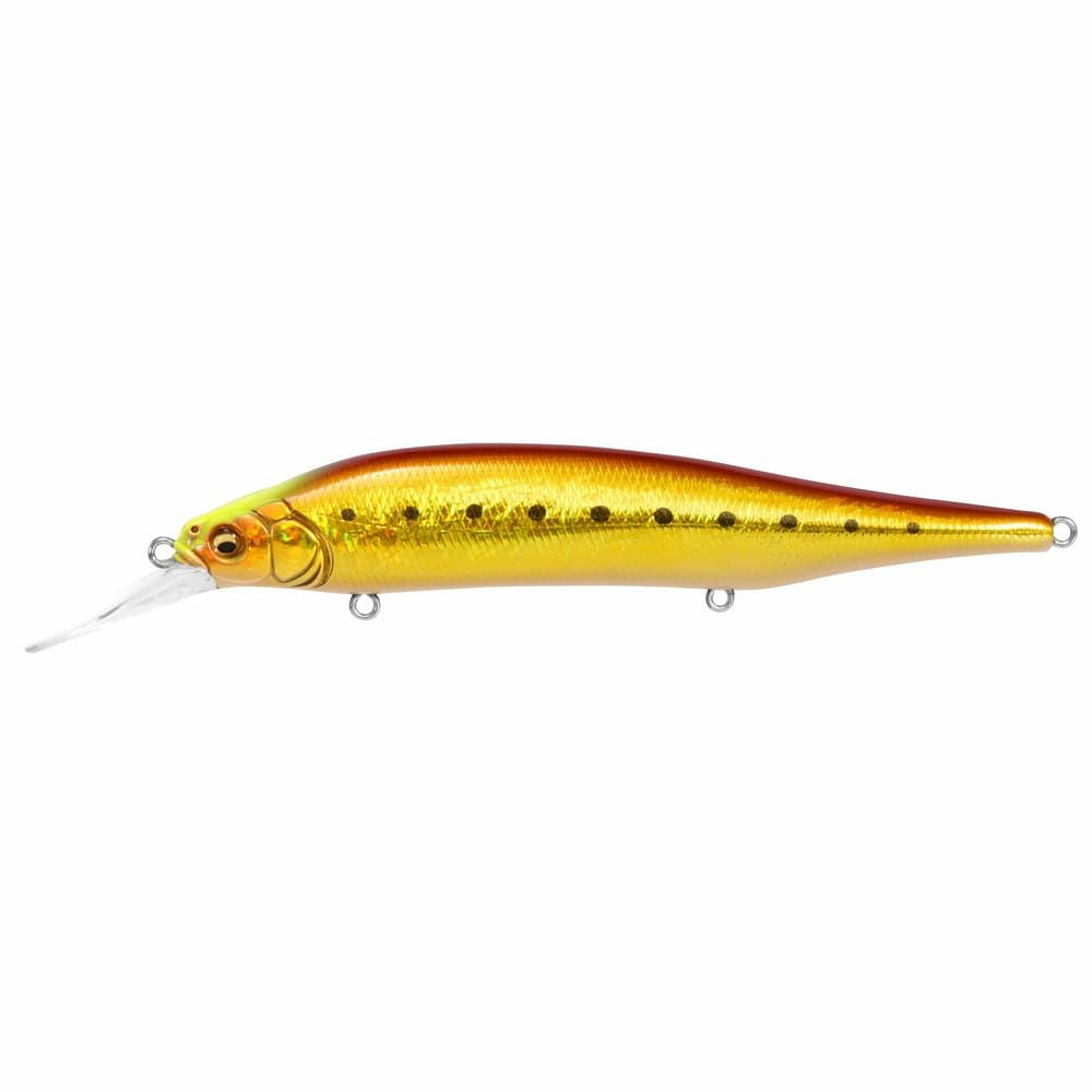 予約：7月末～8月末発送】X-80 MAGNUM+1 GC レッドヘッド | Megabass