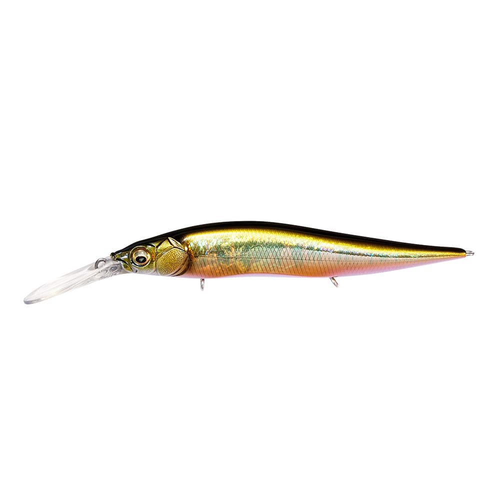 VISION ONETEN+2 Jr. GG オイカワ | Megabass - メガバス オンライン
