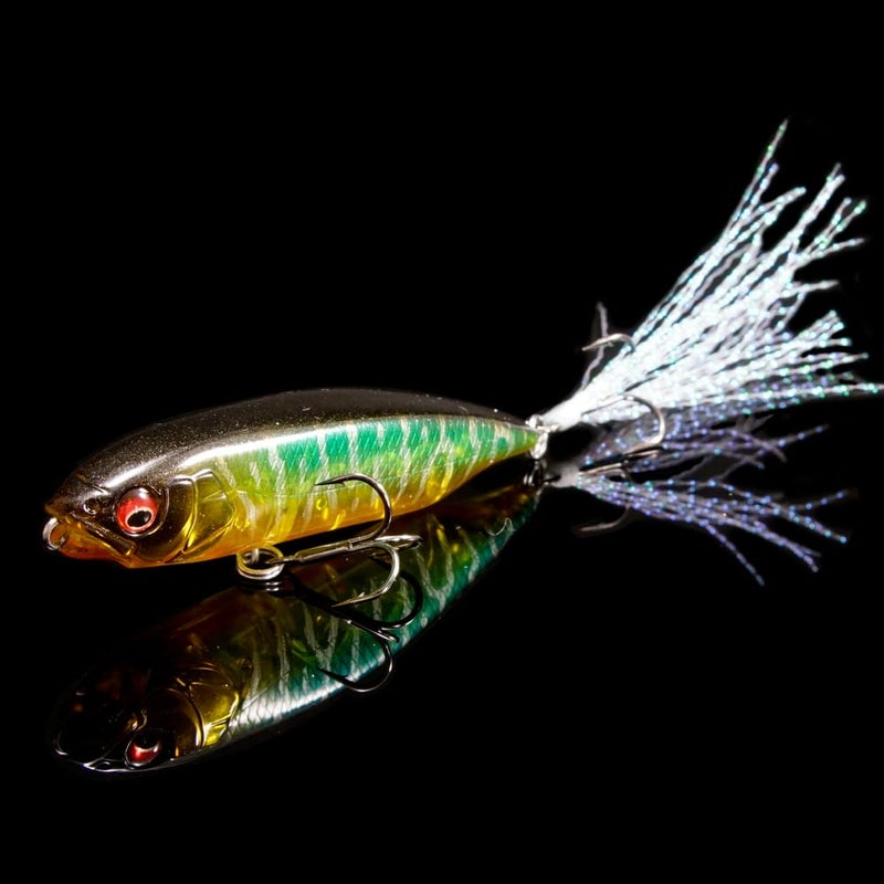 【6月上旬発送】【オンライン限定】KARASHI ジントニックタイガー