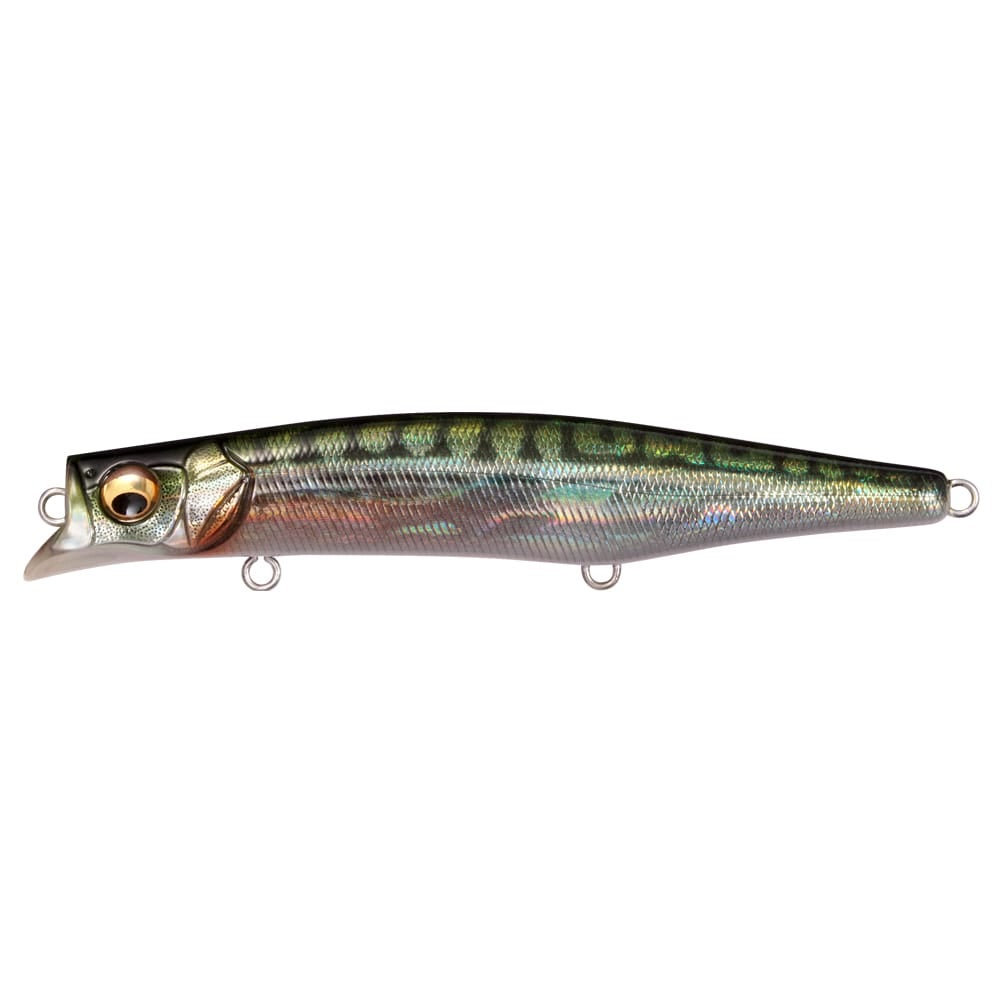 リストック】2026福袋 SALT SET | Megabass - メガバス オンラインショップ