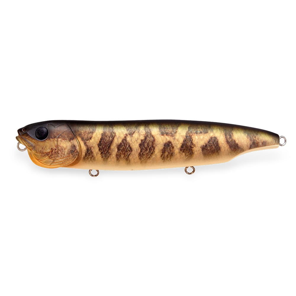 6月下旬発送】DOGMAX SLIDING MODEL マットタイガー | Megabass