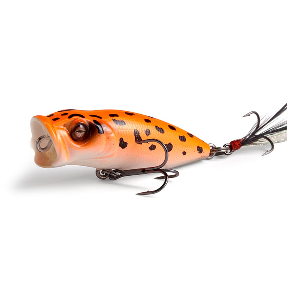 8月下旬発送】【オンライン限定】WORLD FROG SELECTION 2026