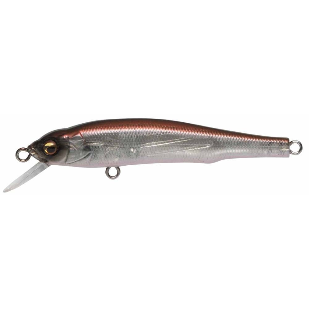 予約：8月末～9月末発送】X-70 (SP) GP ファントム | Megabass