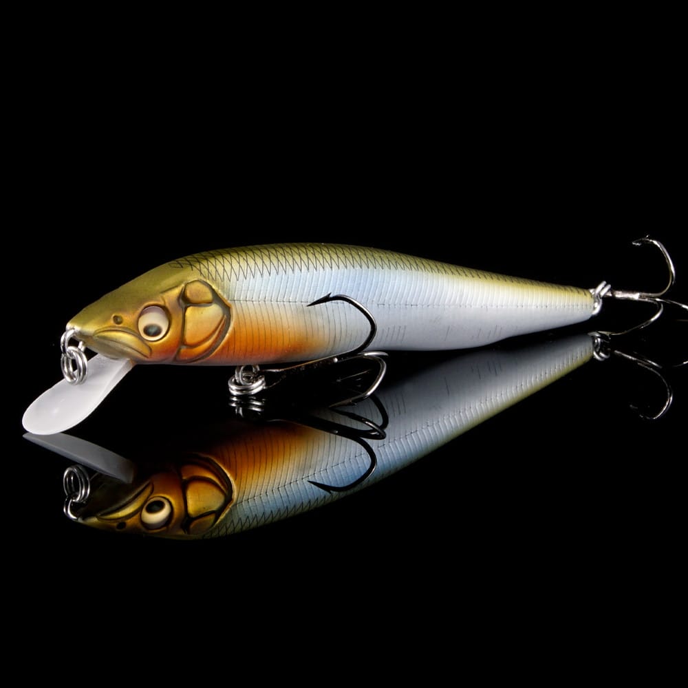 11月上旬発送】【オンライン限定】VISION ONETEN フロステッドワカサギ